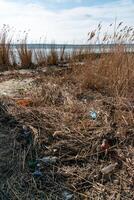 Pollution with plastic waste and microplastics on the shore of the Khadzhibey estuary photo