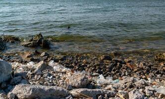 Plastic garbage and microplastics on the shore of Khadzhibey Estuary photo