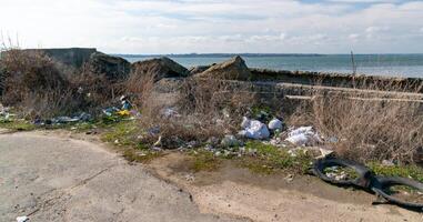 Pollution with plastic waste and microplastics on the shore of the Khadzhibey estuary photo