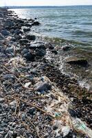 Plastic garbage and microplastics on the shore of Khadzhibey Estuary photo