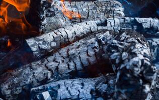 Firewood burning in the brazier, smoldering log coals photo