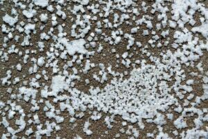 Crystals of self-precipitating common salt -sodium chloride- crystallized at the bottom photo
