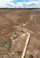 Heaps of garbage on the bank of the Kuyalnik estuary photo