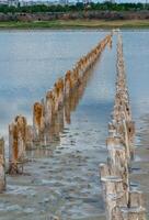 Salt Lake. Self-settling salt on wooden logs. Hypersaline water in a drying lake, an environmental problem. Ukraine photo