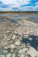 A dried and cracked layer of dead crustaceans Artemia salina and their yellow eggs on the bank photo