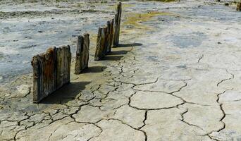 Ancient wooden piles in the Kuyalnitsky estuary photo