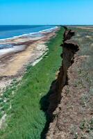 Wide sandy shore of the salty Tuzla estuary, overgrown with green salt-tolerant vegetation photo