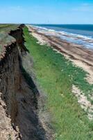 Wide sandy shore of the salty Tuzla estuary, overgrown with green salt-tolerant vegetation photo