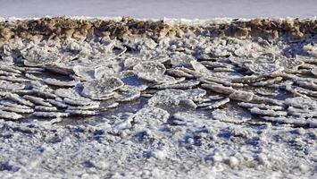 Kuyalnik estuary, Black Sea. Table salt in the form of round pancakes at the bottom and the bank of the estuary. Table salt crystals photo