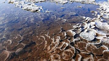 Kuyalnik estuary, Black Sea. Table salt in the form of round pancakes at the bottom and the bank of the estuary. Table salt crystals photo