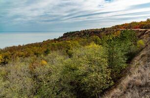 The coast of the Dniester estuary in autumn, overgrown with wild steppe vegetation and trees photo