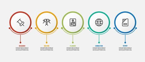 Circle option for business template infographic. vector