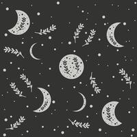 Moon pattern, moon phase with plants vector