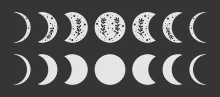 Moon phase icons with plants vector
