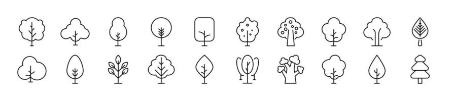 Set of Linear Signs of Tree Drawn with Thin Line. Editable stroke. Simple outline sign for web sites, newspapers, articles book vector