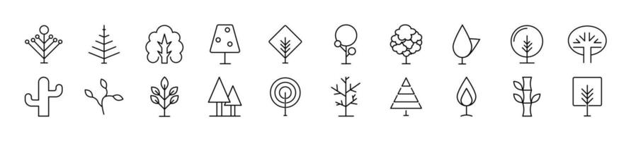 Set of thin line icons of deciduous, coniferous and tropical trees. Editable stroke. Simple linear illustration for web sites, newspapers, articles book vector