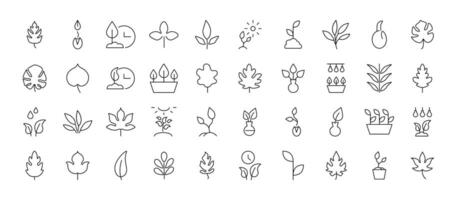 Collection of Line Icons of leaves, gardening, nature for Adverts. Suitable for books, stores, shops. Editable stroke in minimalistic outline style. Symbol for design vector