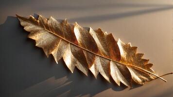 Closeup of a golden sunlit wall leaf sparkling with elegance and beauty for artistic inspiration. photo