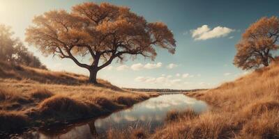 Beautiful oak in the meadow with dry grass with the lake on the background. photo