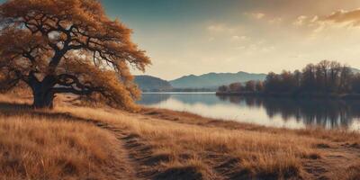 Beautiful oak in the meadow with dry grass with the lake on the background. photo