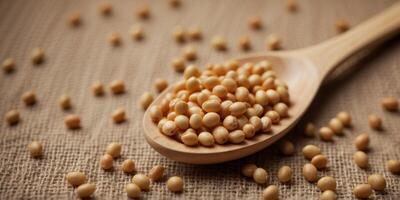 Close-up of a wooden spoon filled with soy beans on a burlap background. photo