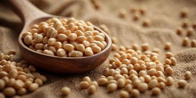 Close-up of a wooden spoon filled with soy beans on a burlap background. photo