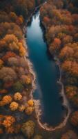 Aerial View of a River Winding Through a Forest in Autumn. photo