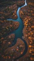 Aerial View of a River Winding Through a Forest in Autumn. photo