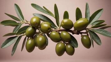 Olive Branch with Green Olives on a Pastel Background. photo