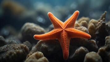 Bright orange starfish in pristine ocean depths with advanced technology. photo