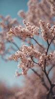 Beautiful blurred spring background nature. photo