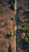 Aerial view of reforestation works at abandoned limestone quarry. photo