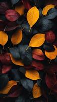 A black background with a bunch of leaves on it. photo