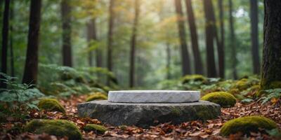 A white stone podium in the forest with copy space for showing you product. photo