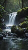 gray rock with water flowing in front of a blurred green jungle for displaying products. photo