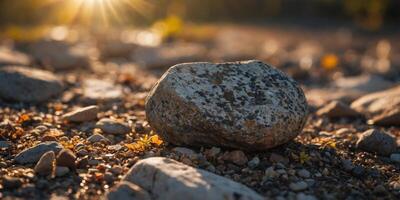 A rock is on the ground with a bright sun in the background. photo