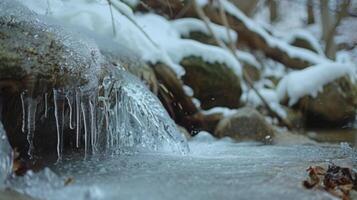 A small waterfall cascading into a forest stream where someone is taking a refreshing but bonechilling ice plunge photo