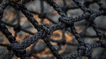 The fine crisscross pattern of nylon webbing creates a strong and flexible cargo net that can withstand heavy weight and rough terrain. Each intersection is reinforced with double photo