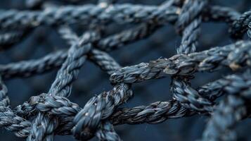 A series of evenly spaced thick rubber cords stretch taut across the cargo net creating a gridlike structure that helps distribute weight evenly and prevent sagging photo