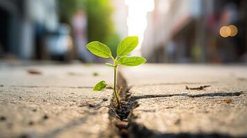 Closeup of a vibrant green plant growing out of a crack in a sidewalk, representing the resilience and growth achieved through a mindful practice. photo