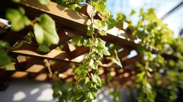 Closeup of intricate wooden trellis covered in crawling ivy, adding a touch of nature to the urban rooftop. photo