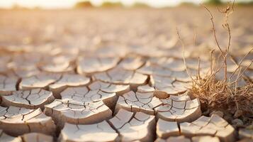 A closeup of cracked, dry soil, illustrating the severe depletion of water resources. photo