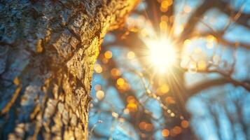 A mesmerizing sight with a metal trunk and branches sparkling in the sun thanks to solar energy photo
