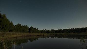 Time lapse of stars move in the night sky. Experience a tranquil moment by a peaceful pond surrounded by trees, illuminated by soft moonlight and twinkling stars in the evening sky. video