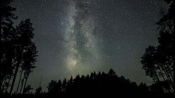 A breathtaking view of the Milky Way stretches across the sky as viewers enjoy stargazing in a quiet forest during a summer night, surrounded by tall trees. Time lapse video