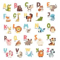 Set of flat illustrations and letters of the alphabet. Colorful alphabet and animals on the first letter. Children's style and white background vector