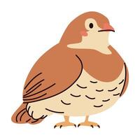 Cute quail on white background. Flat illustration in simple child style vector