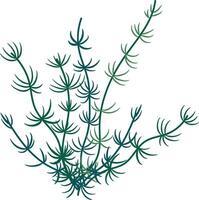 a plant with green leaves on a white background vector