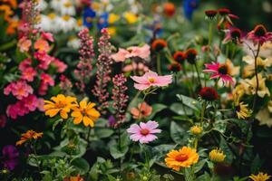 Vibrant Flower Garden Captured in Full Bloom photo