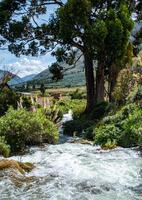 rushing river near bushes and giant tree nearby with distant mountains and cloudy sky in the background photo